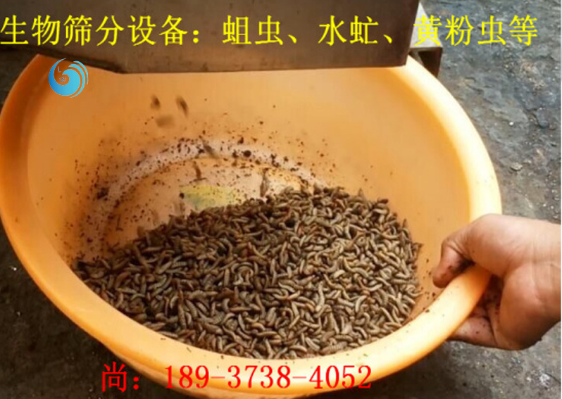 蛆虫筛选3层香蕉视频下载污污